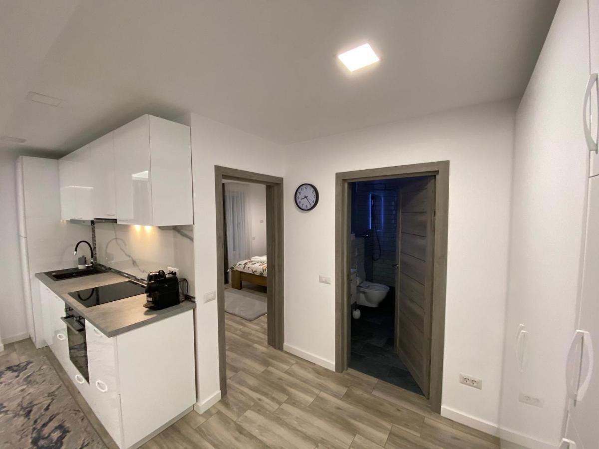 Lora Studio Apartment Suceava Exterior photo
