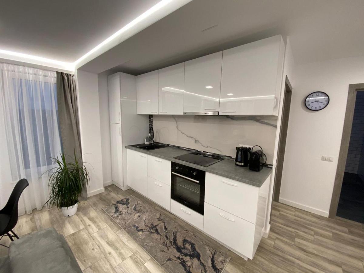 Lora Studio Apartment Suceava Exterior photo